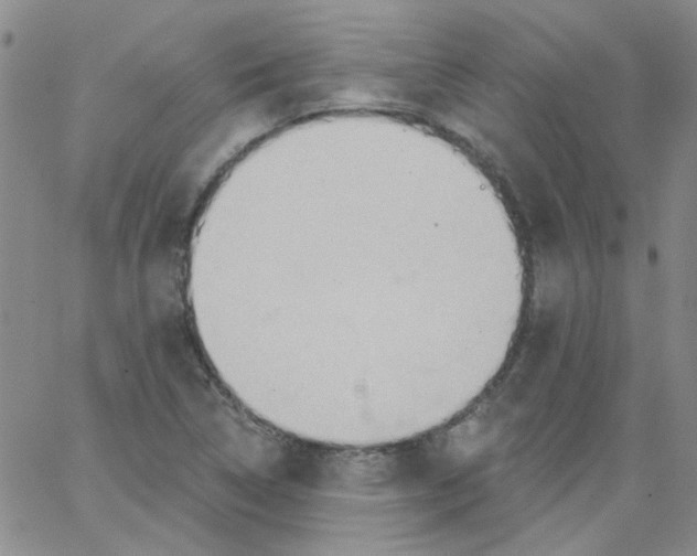 X0000062891314200602031757