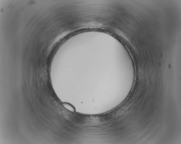 X0000062891315200602031757