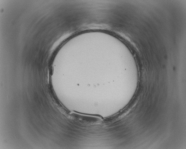 X0000062891317200602031757