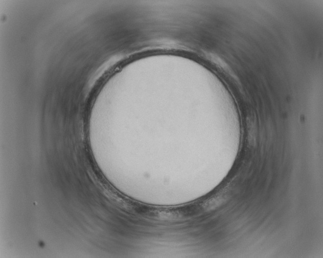 X0000062891318200602031757