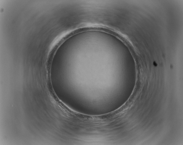 X0000062891319200602031757