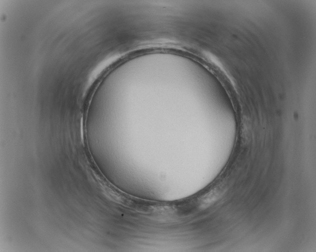 X0000062891320200602031757