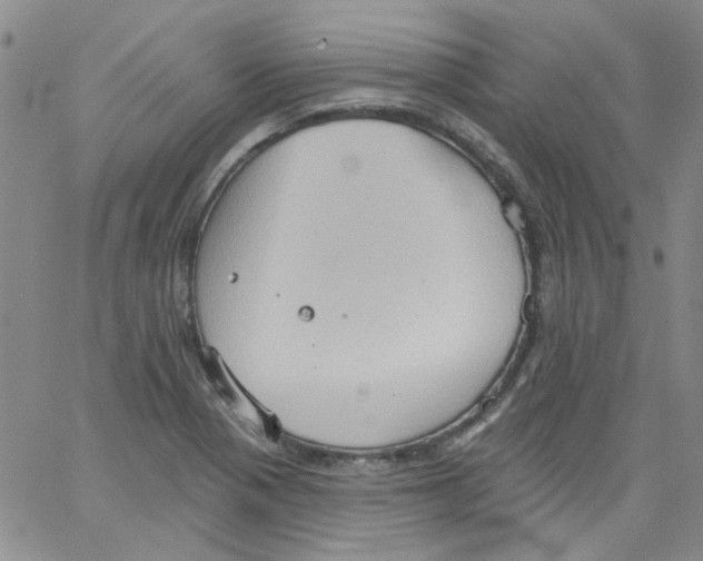 X0000062891321200602031757