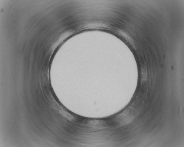 X0000062891322200602031757