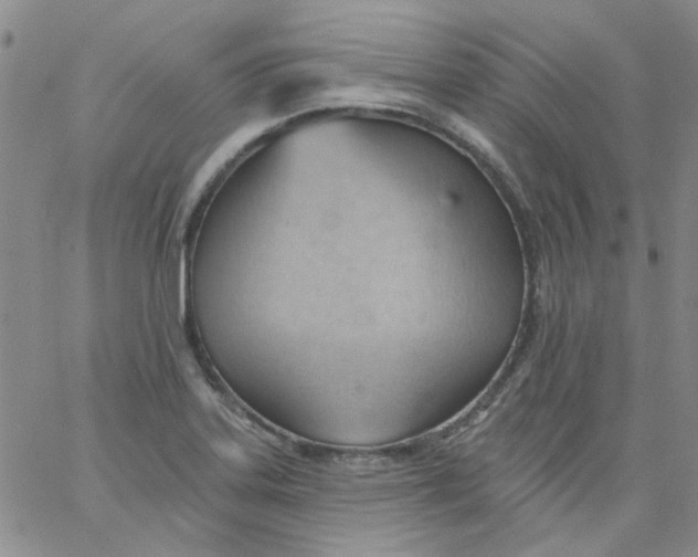 X0000062891323200602031757