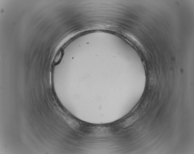 X0000062891324200602031757