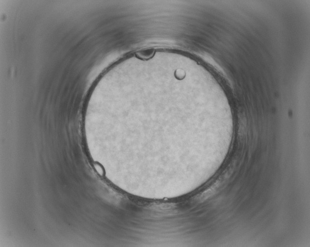 X0000062891325200602031757