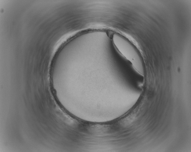 X0000062891327200602031757