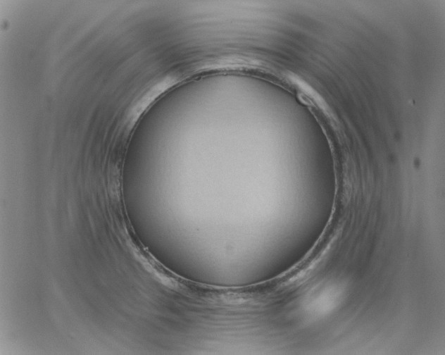 X0000062891329200602031757