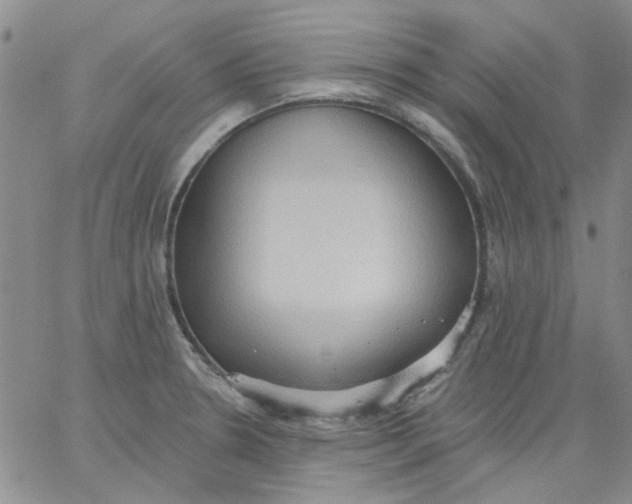 X0000062891330200602031757