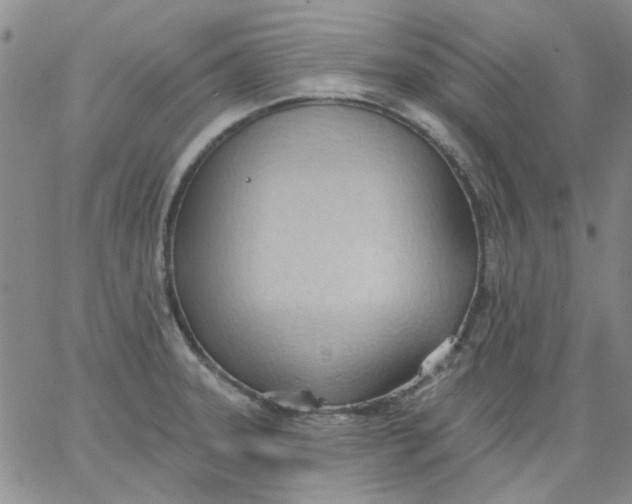 X0000062891331200602031757