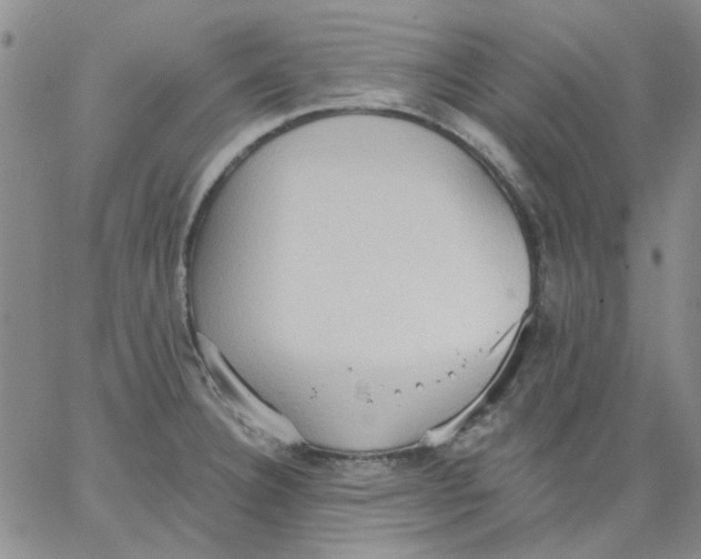 X0000062891332200602031757