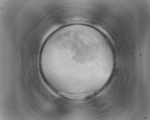 X0000062891333200602031757