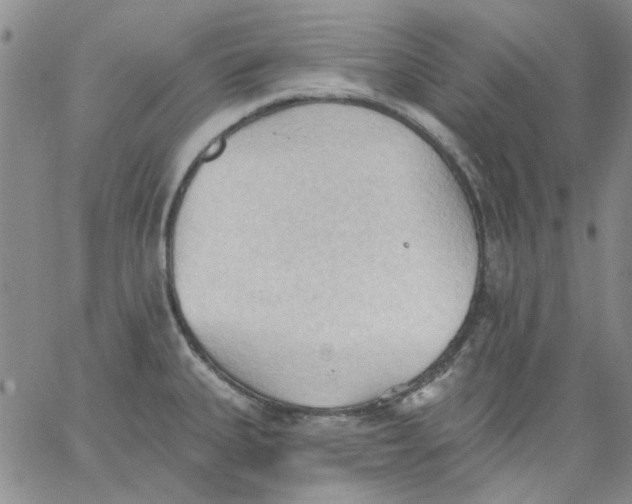 X0000062891335200602031757