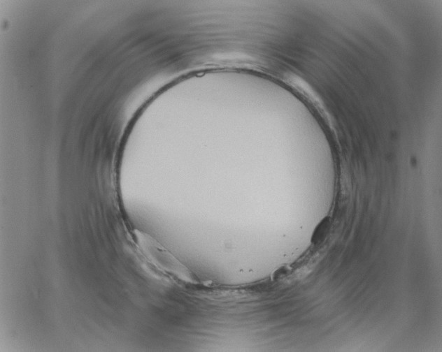 X0000062891336200602031757