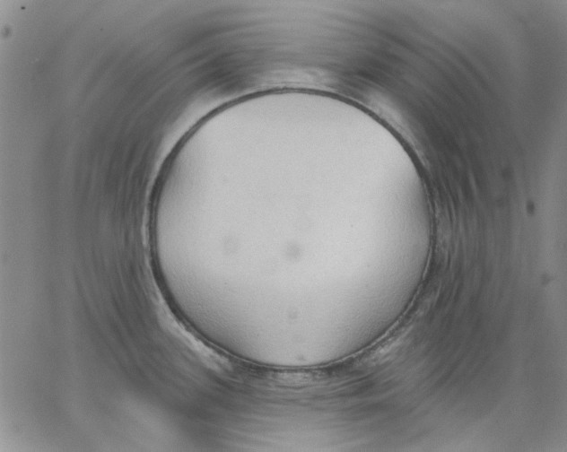 X0000062891339200602031758