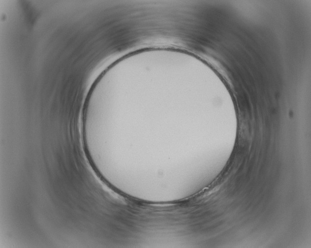 X0000062891343200602031758