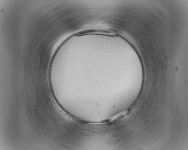 X0000062891344200602031758