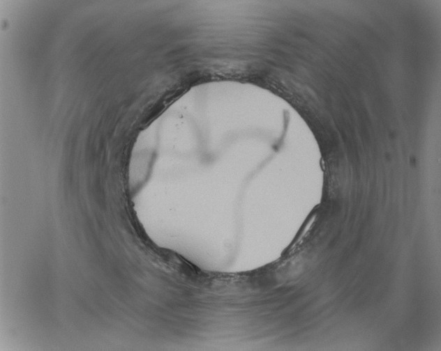 X0000062891345200602031757