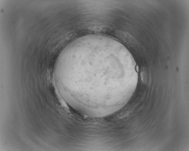 X0000062891347200602031757