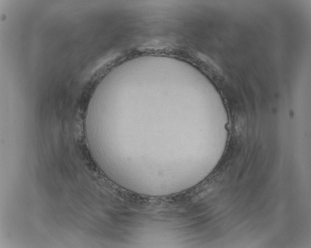 X0000062891350200602031757