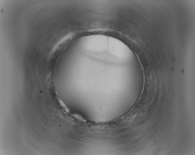 X0000062891351200602031757