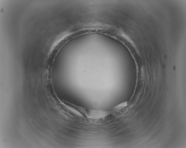 X0000062891352200602031757