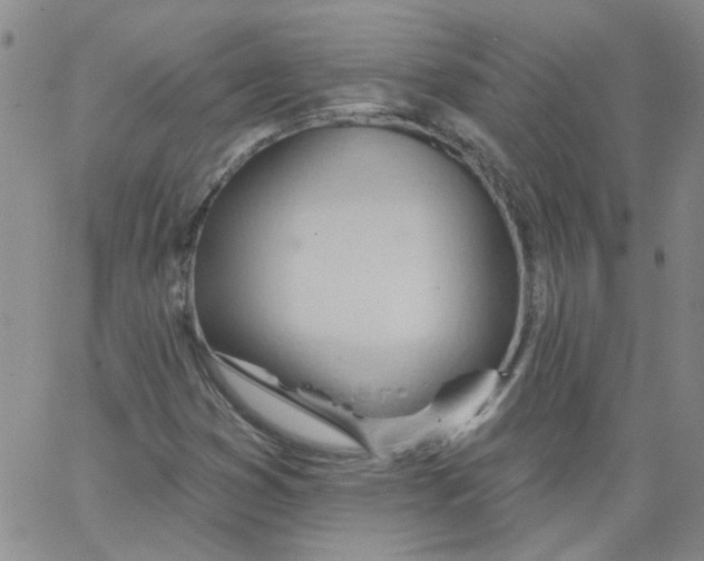 X0000062891353200602031757