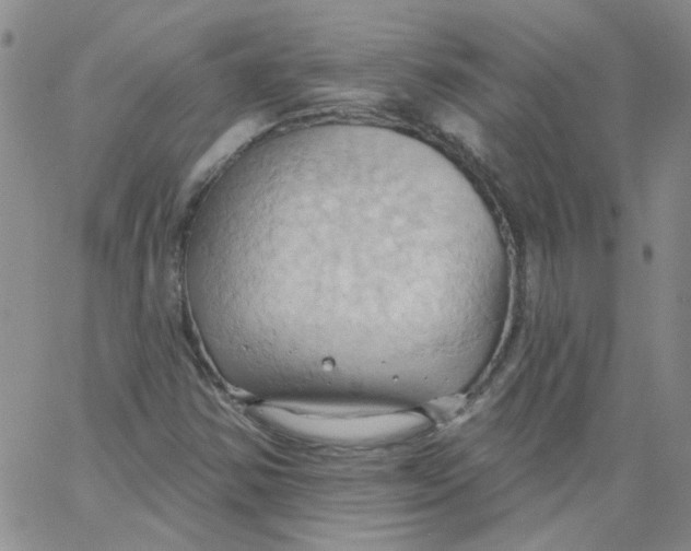 X0000062891354200602031757