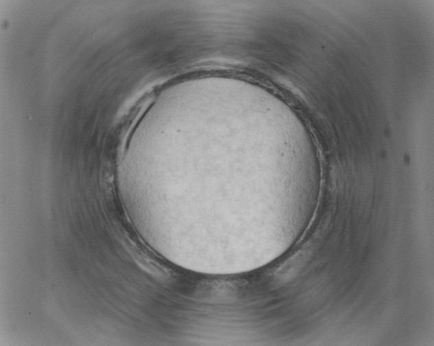 X0000062891355200602031757