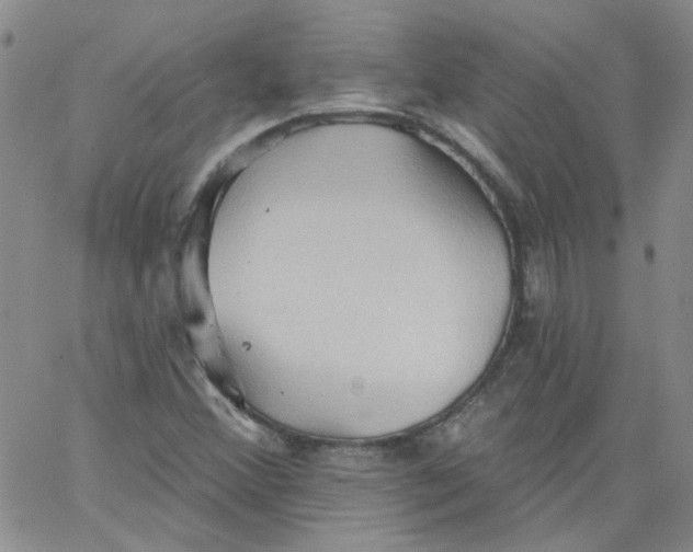 X0000062891356200602031757