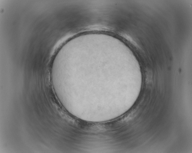 X0000062891358200602031757