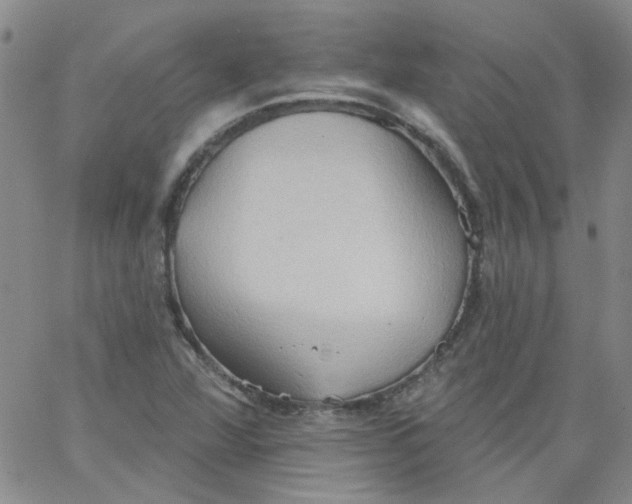 X0000062891360200602031757