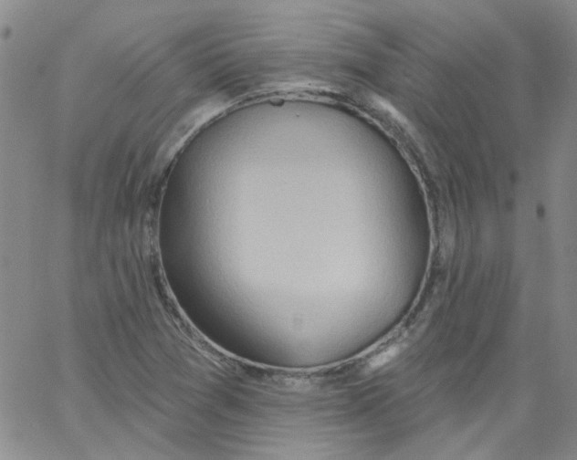 X0000062891361200602031757