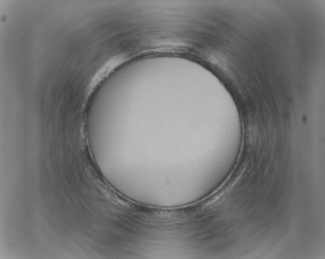 X0000062891362200602031757