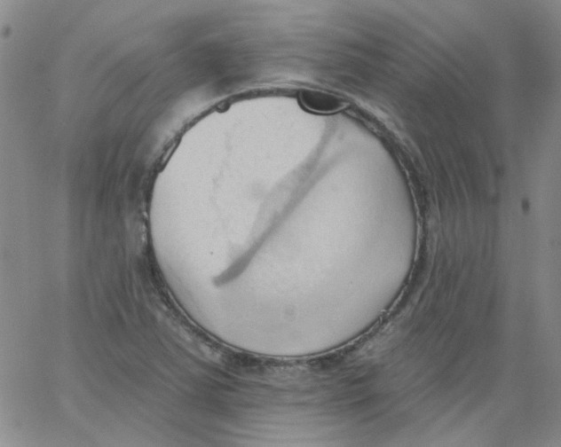 X0000062891363200602031757