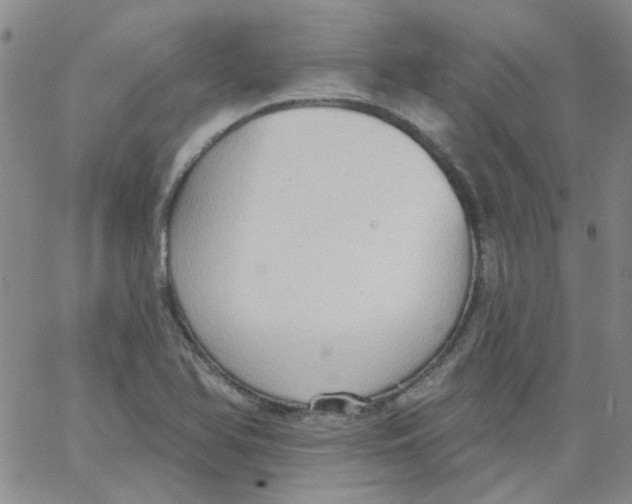 X0000062891366200602031756