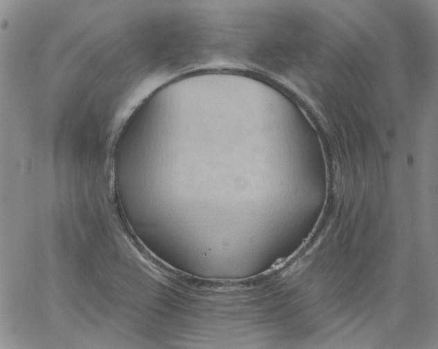 X0000062891367200602031756