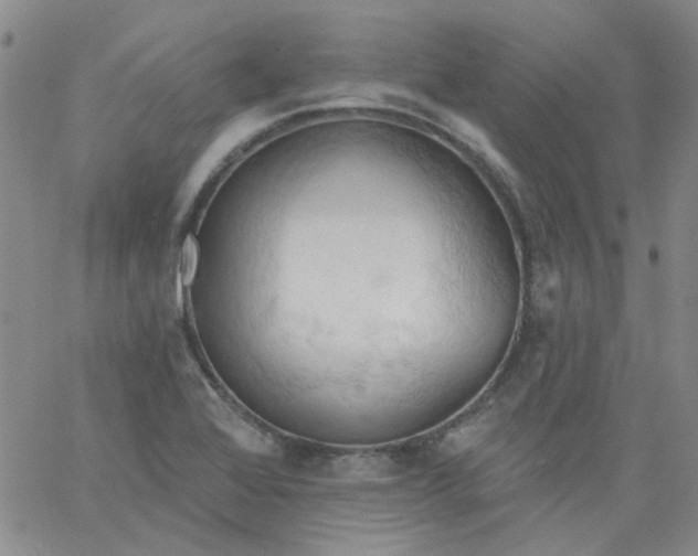 X0000062891368200602031756