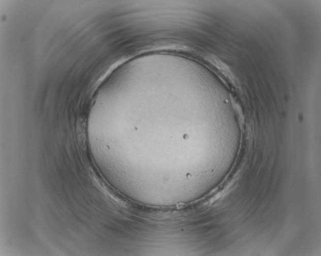 X0000062891369200602031756