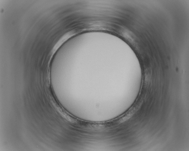 X0000062891370200602031756