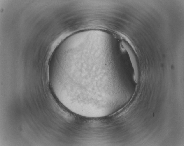 X0000062891371200602031756