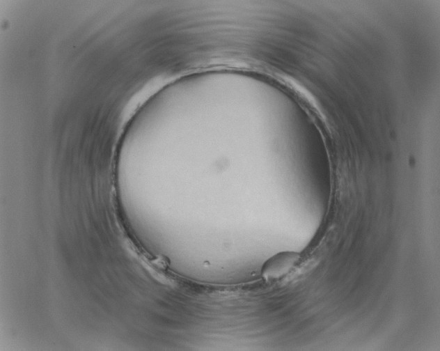 X0000062891373200602031756