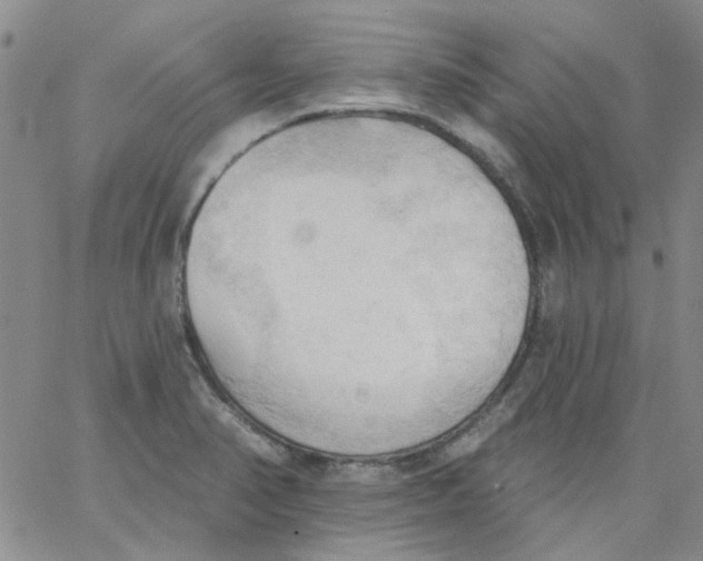 X0000062891374200602031756