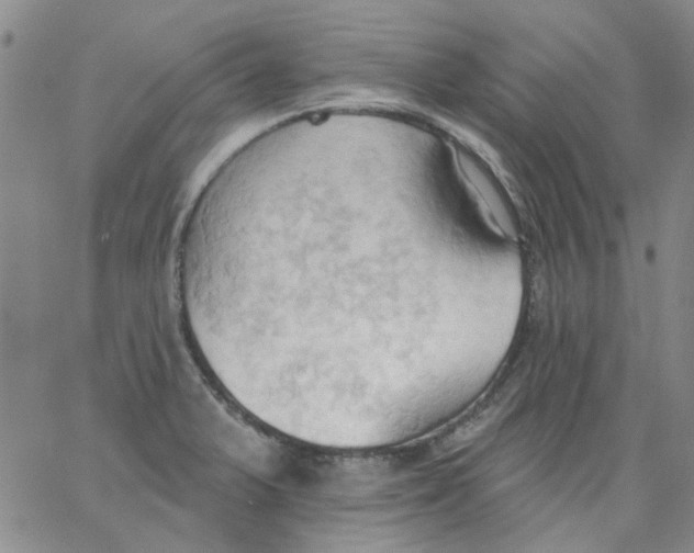 X0000062891375200602031756