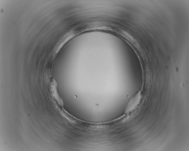 X0000062891377200602031756