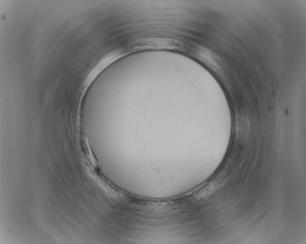 X0000062891378200602031756