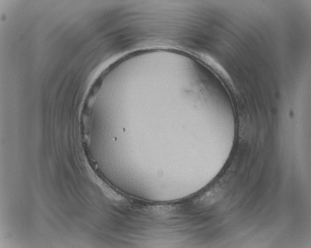 X0000062891380200602031756