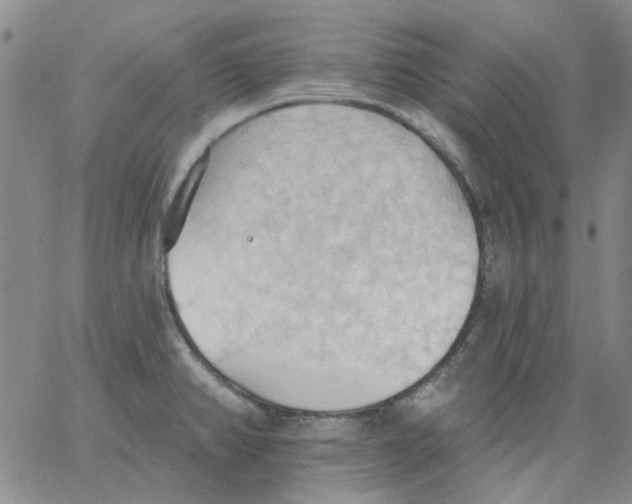 X0000062891382200602031756