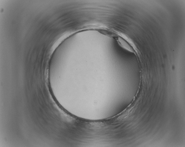 X0000062891383200602031756